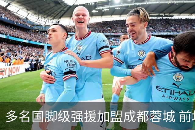 多名国脚级强援加盟成都蓉城 前场还有进人空间