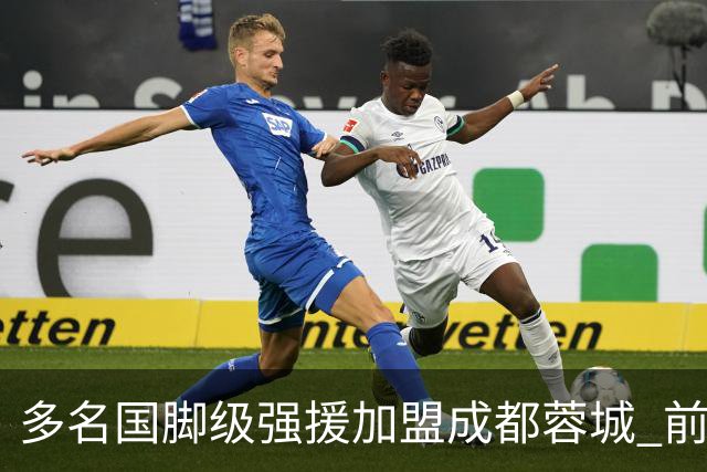 多名国脚级强援加盟成都蓉城 前场还有进人空间